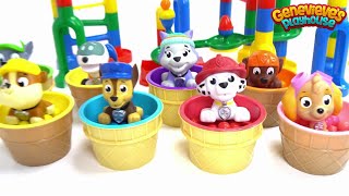 Paw Patrol help Build a Giant Colorful Marble Maze [upl. by Knipe]