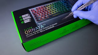 Razer Ornata V2 Keyboard Unboxing  ASMR [upl. by Ditter753]