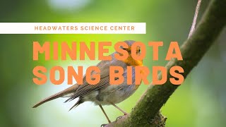 Minnesota Bird Calls [upl. by Acinot]