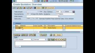 SAP Tutorial for beginners  SAP ERP [upl. by Crawford]