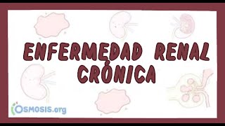 Enfermedad Renal Crónica  Ósmosis en Español [upl. by Rina997]