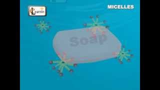 Soap Micelles Formation  Science [upl. by Bbor]