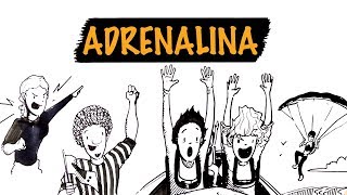 O Que a Adrenalina Faz por Você  Autoridade Fitness [upl. by Nennek181]