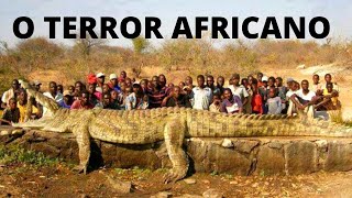 GUSTAVE – O CROCODILO AFRICANO GIGANTE PREDADOR DE PESSOAS UMA HISTÓRIA REAL [upl. by Huei54]