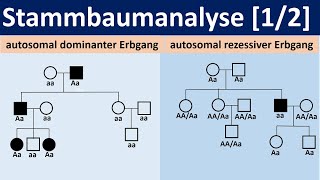 Stammbaumanalyse 12  autosomal dominante bzw rezessive Erbgänge Biologie Oberstufe Genetik [upl. by Letsou]