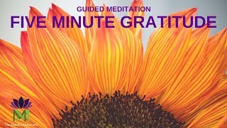 5 Minute Guided Meditation for Gratitude  Mindful Movement [upl. by Ekle]