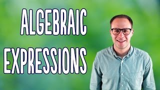 Algebraic Expressions Basics [upl. by Verbenia]