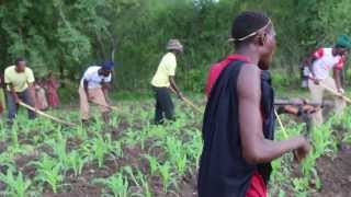 Tanzania Sukuma Bachonga Magembe working in the fields [upl. by Adnerol]