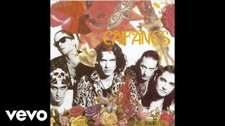 Caifanes  Antes de Que Nos Olviden Cover Audio [upl. by Mortie]