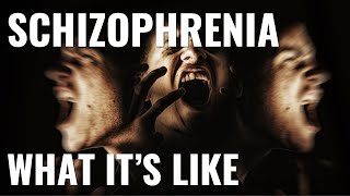 What its like to have schizophrenia [upl. by Kahn]