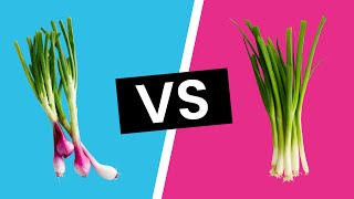 Spring Onion vs Green Onions  Whats the Difference [upl. by Rico]