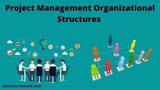 Project Management Organizational Structures [upl. by Atnoed]