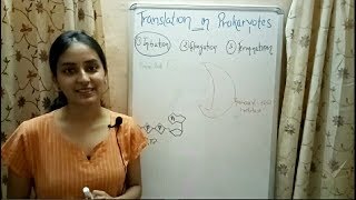 Translation in Prokaryotes  Biology Lecture 11 [upl. by Eittel]