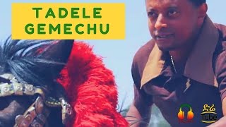 ETHIOPIA Tadele Gemechu  BarriHindarba Ethiopian Music Video 2017 [upl. by Vasos]