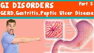 Duodenum 1st Part  Anatomy  Part 2 [upl. by Sarita]