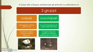 Riproduzione e classificazione animali [upl. by Ailahs]