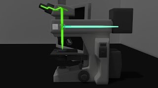 Fluorescence Microscopy Animation [upl. by Nets]