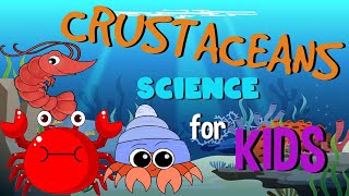 What are Crustaceans  Science for Kids [upl. by Ataeb]