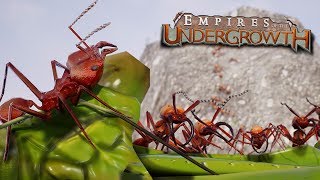 THE ANT COLONYS FINAL STAND  Empires Of The Undergrowth  Ep18 [upl. by Maclaine]