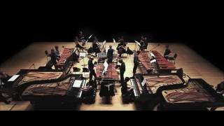 Steve Reich Music for 18 Musicians [upl. by Coffin]