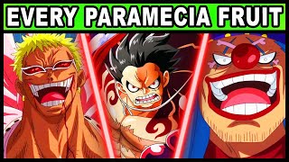 All Paramecia Users and Their Powers Explained One Piece Every Devil Fruit [upl. by Yeldar396]