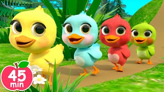 5 Little Ducks song  Newborn Baby Songs amp Nursery Rhymes [upl. by Fulvi864]