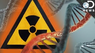 How Radiation Changes Your DNA [upl. by Gebelein]