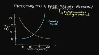 Pricing in a FreeMarket Economy [upl. by Lombardy]