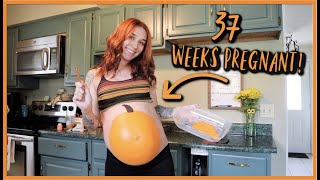 PAINTING MY PREGNANT BELLY LIKE A PUMPKIN [upl. by Wilbur]