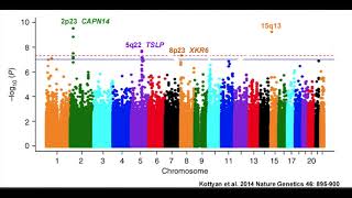 Understanding Manhattan Plots and Genomewide Association Studies [upl. by Duky]