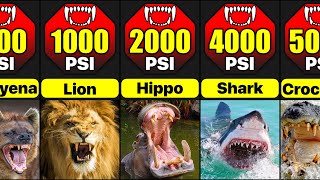 Most Powerful Bites In Animal Kingdom  Comparison [upl. by Hoxie]