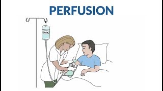 Comment se passe une perfusion [upl. by Gilmer]