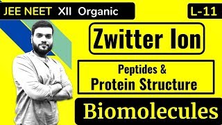 L11 Zwitter Ion  Peptide Bonds  Proteins Structure  Biomolecules [upl. by Ruscio]