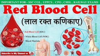 Red Blood Cellsलाल रक्त कणिकाए  RBC  Fuction of red blood cells in hindi  ssc campus mp4 [upl. by Navanod]