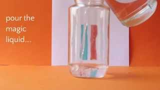 Water Refraction Experiment [upl. by Hoffert]