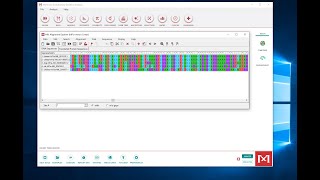 Making a Multiple Sequence Alignment in MEGA [upl. by Nylesoj]