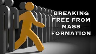 Breaking Free From Mass Formation with Mattias Desmet [upl. by Ryann]