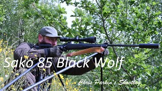 Sako 85 Black Wolf in 270 Win [upl. by Longmire207]