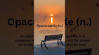 Opacarophile [upl. by Airemaj]