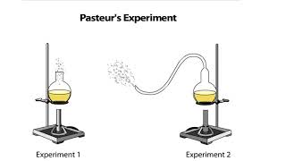 Pasteurs Experiment [upl. by Eilyw]