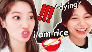 dahyun becomes rice with tzuyus intense chinese lessons [upl. by Ahsenod262]