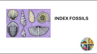 Index Fossils [upl. by Loferski]