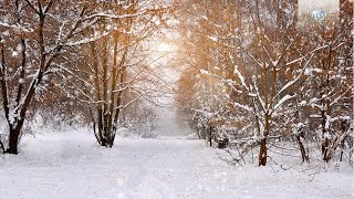 Winter Classical Music Tchaikovsky Vivaldi Mussorgsky Smetana [upl. by Attelrahs]