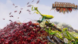 BUG EAT BUG WORLD  Empires Of The Undergrowth  Ep25 [upl. by Ylremik397]