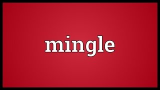 Mingle Meaning [upl. by Reinold]