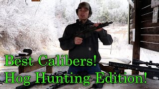 Best Hog Hunting Calibers [upl. by Eahs]