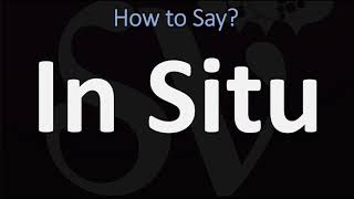 How to Pronounce In Situ CORRECTLY [upl. by Stead]