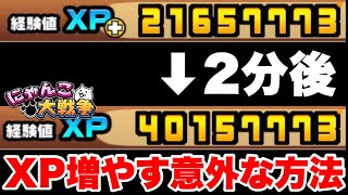 【実況にゃんこ大戦争】XPを増やす意外な方法 [upl. by Arand]