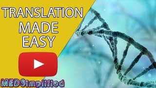 DNA Translation Made Easy [upl. by Killarney]