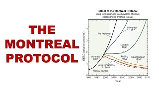 History of the Montreal Protocol [upl. by Zillah]